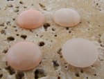 15mm. ANGELSKIN SHINY MARBLE ROUND CABOCHONS - Lot of 48
