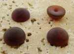 13mm. TORTOISE MATTE MARBLE ROUND CABOCHONS - Lot of 48