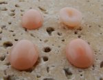 14X10mm. ANGELSKIN SHINY MARBLE OVAL CABOCHONS - Lot of 48