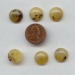 13mm. CAMEL BEIGE SPECKLE SHINY ROUND CABOCHONS - Lot of 48