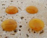 15mm. HONEY AMBER SHINY MARBLE ROUND CABOCHONS - Lot of 48